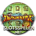 Thunderfist slot Logo