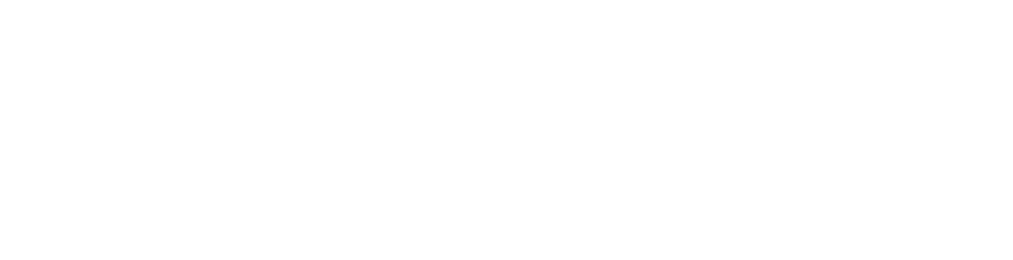 Push Gaming Logo Wit