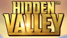Hidden Valley Quickspin logo