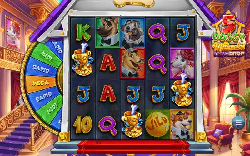 5 Doggy Millionaires scatters
