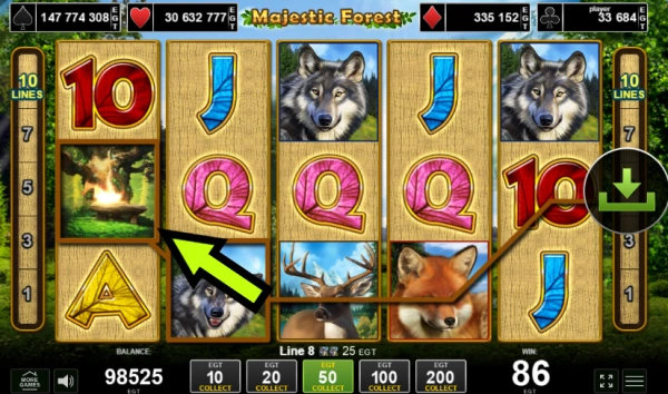 Majestic Forest boom wild