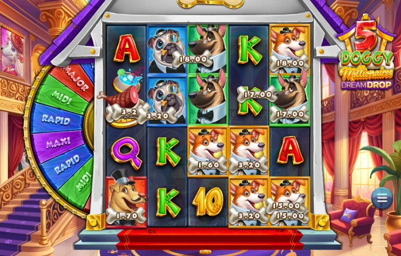 collect spin