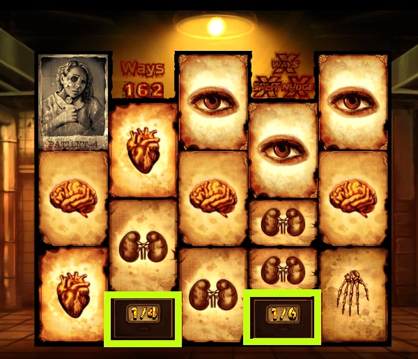 Enhancer Cells