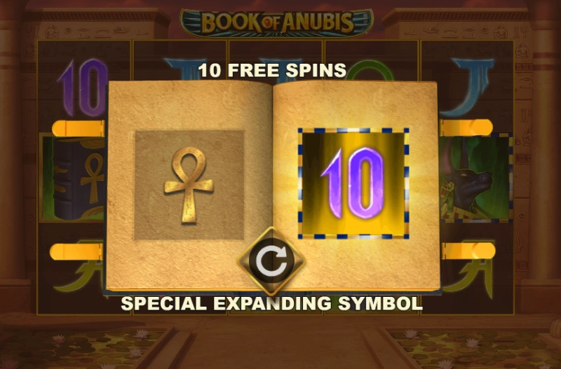 speciaal symbool book