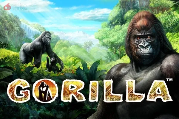 Gorilla